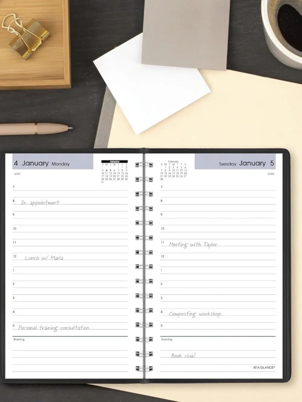 AT-A-GLANCE 2027 Appointment Book Planner, Daily, 5